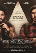 pelicula El infiltrado del KKKlan,El infiltrado del KKKlan online