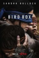 pelicula Bird Box: A ciegas,Bird Box: A ciegas online