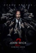 pelicula John Wick 2,John Wick 2 online