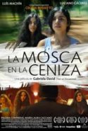 pelicula La mosca en la ceniza,La mosca en la ceniza online