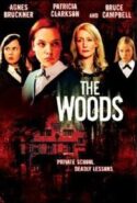 pelicula El bosque maldito,El bosque maldito online