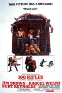 pelicula 100 Rifles,100 Rifles online