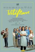 pelicula Una familia extraordinaria,Una familia extraordinaria online