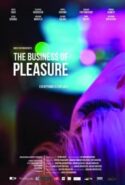 pelicula La industria del placer,La industria del placer online