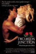 pelicula Encrucijada de pasiones,Encrucijada de pasiones online