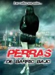 Perras De Barrio