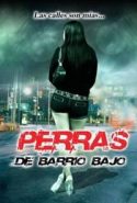 pelicula Perras De Barrio,Perras De Barrio online